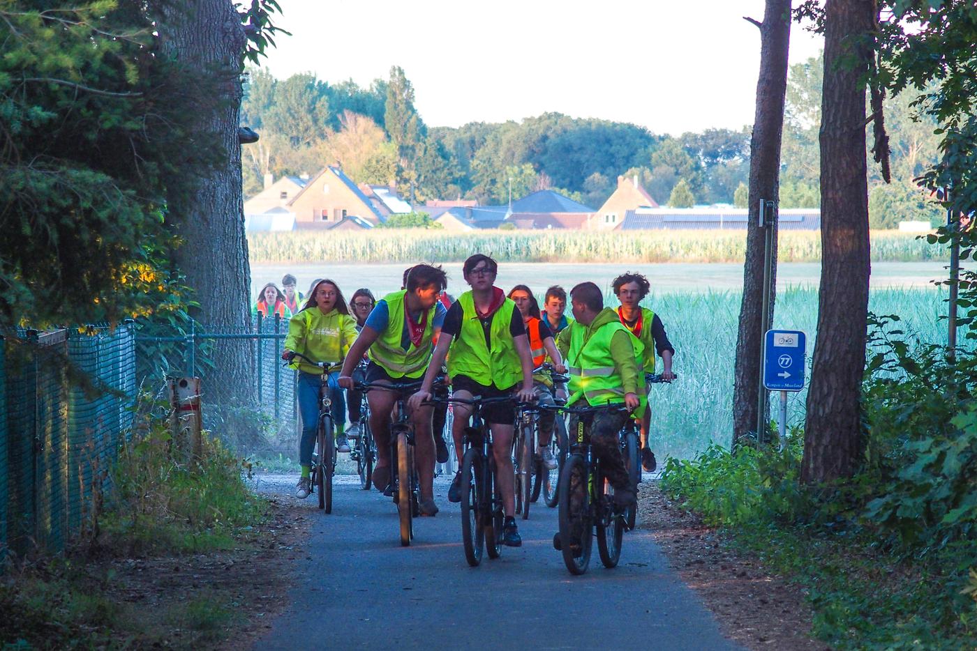 Veilig in het verkeer